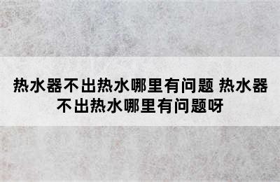 热水器不出热水哪里有问题 热水器不出热水哪里有问题呀